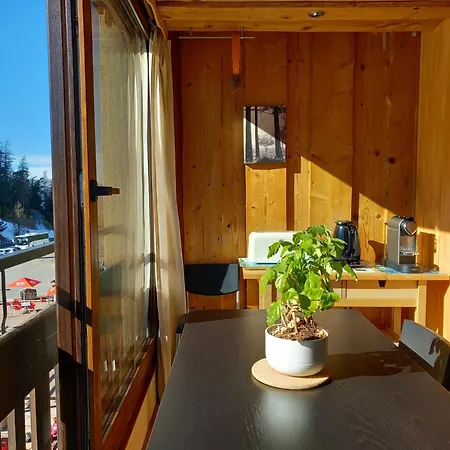 Tres Agreable 2 Pieces Au Pied Des Pistes Apartment
